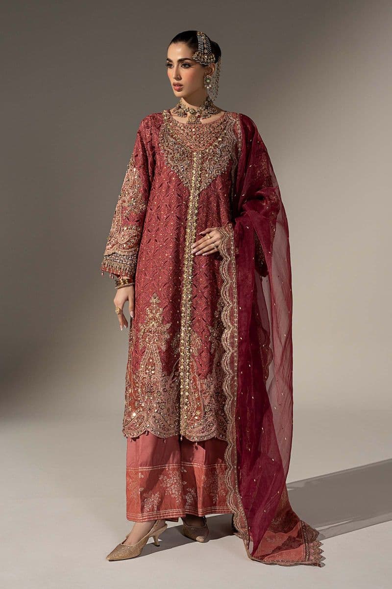 3 Piece Embroidered Organza Suit thumbnail