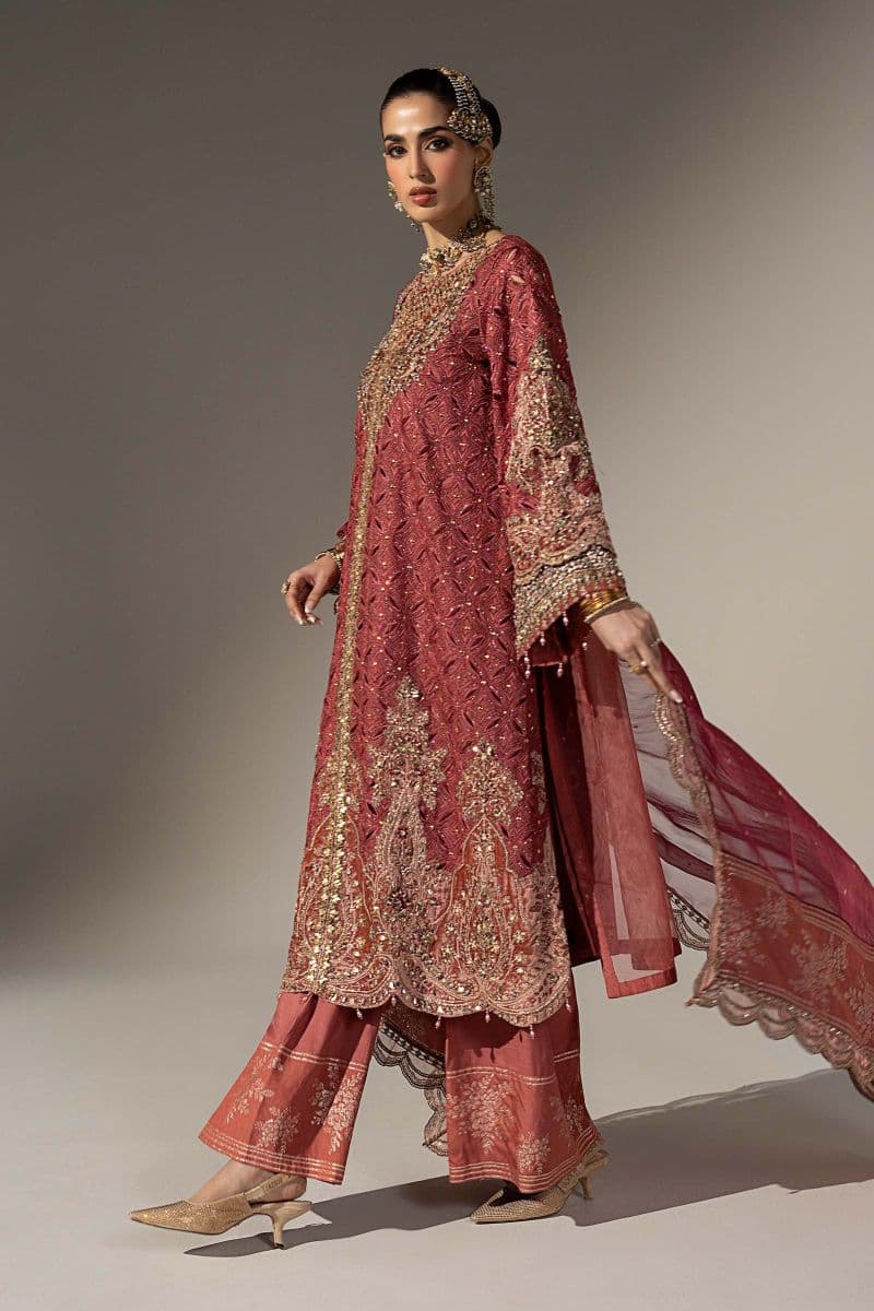 3 Piece Embroidered Organza Suit thumbnail