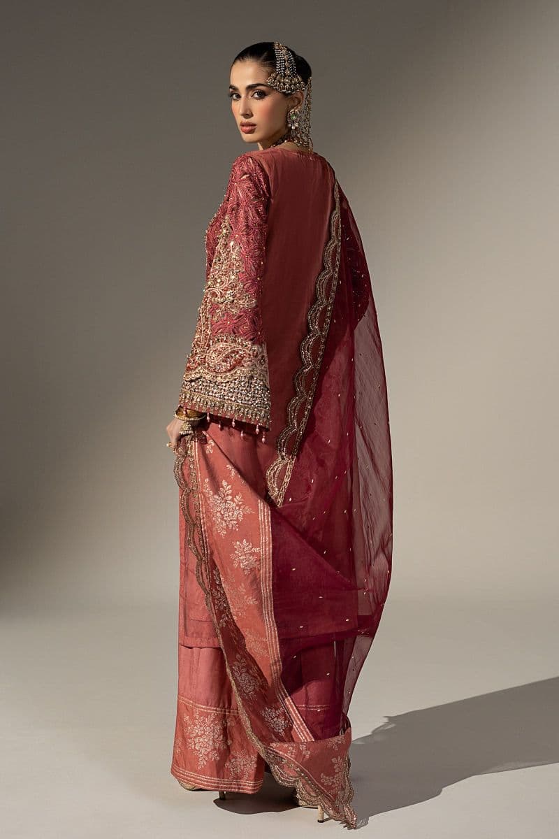 3 Piece Embroidered Organza Suit thumbnail