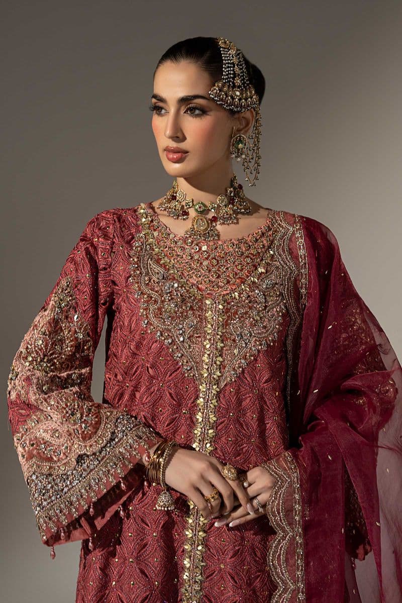 3 Piece Embroidered Organza Suit thumbnail