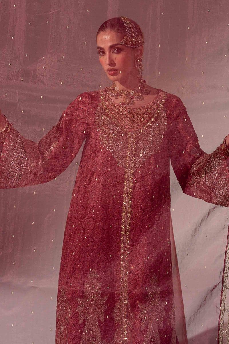 3 Piece Embroidered Organza Suit thumbnail