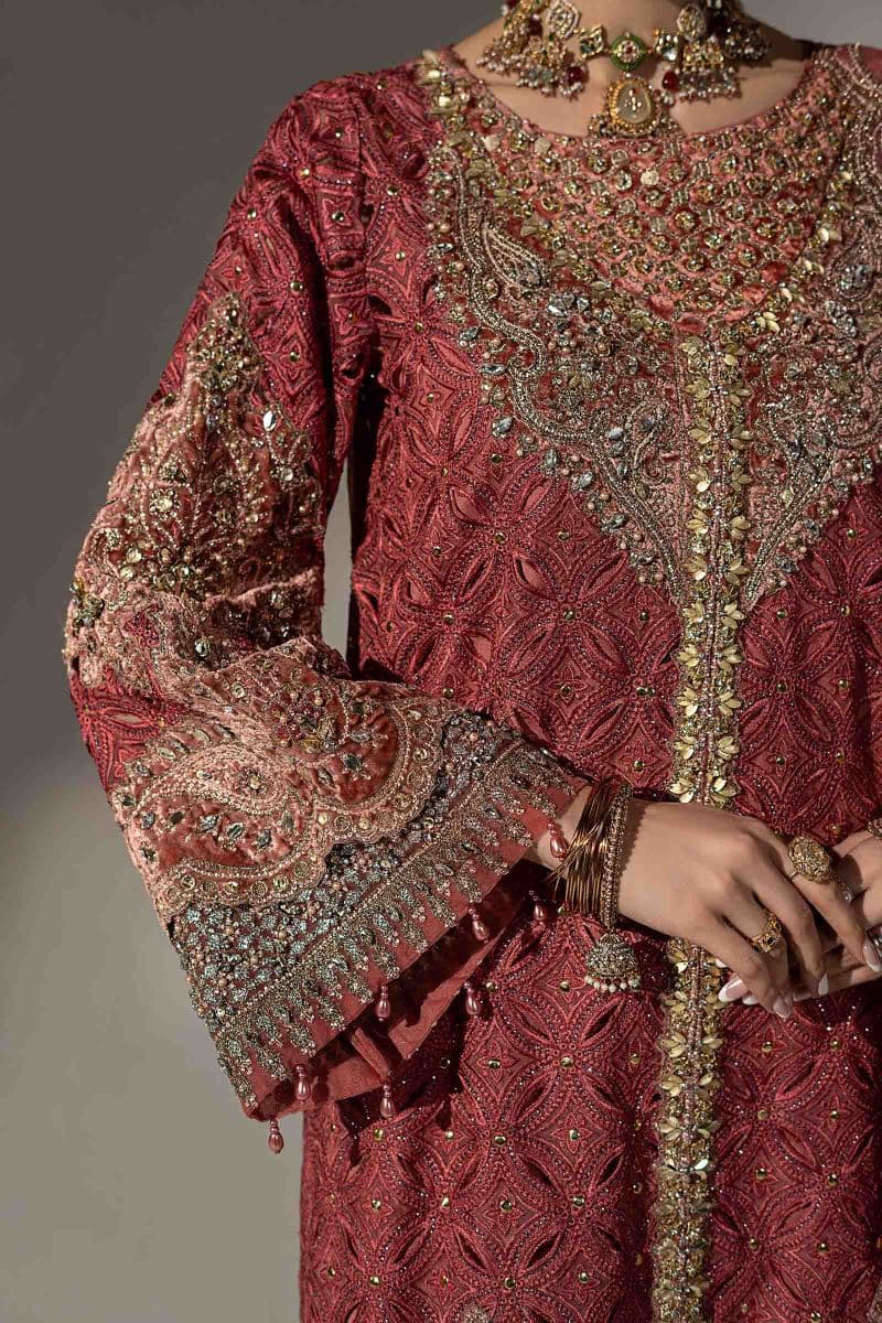 3 Piece Embroidered Organza Suit thumbnail