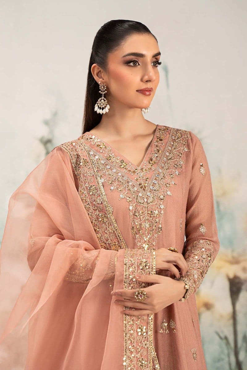 3 Piece Embroidered Cotton Net Suit thumbnail