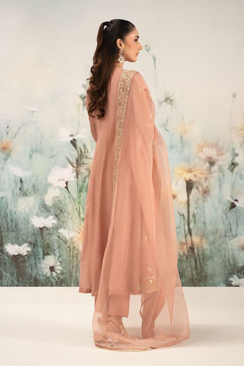 3 Piece Embroidered Cotton Net Suit thumbnail
