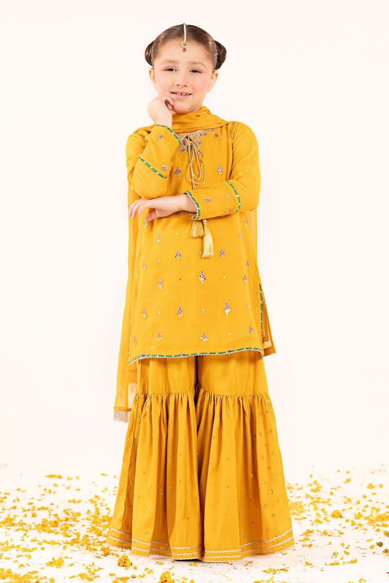 3 Piece Embroidered Cotton Net Suit thumbnail