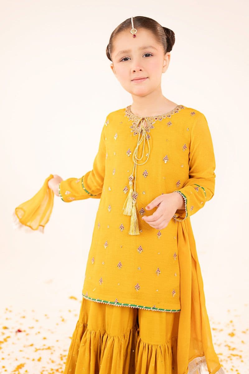 3 Piece Embroidered Cotton Net Suit thumbnail