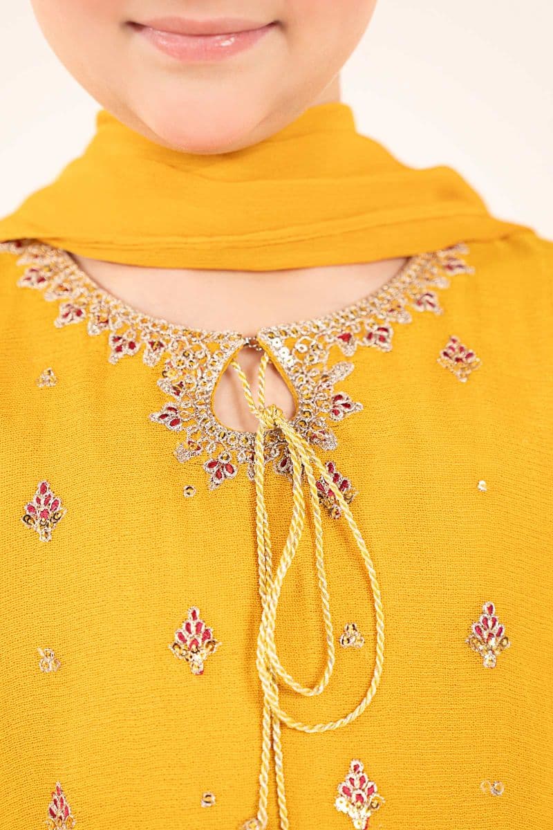 3 Piece Embroidered Cotton Net Suit thumbnail