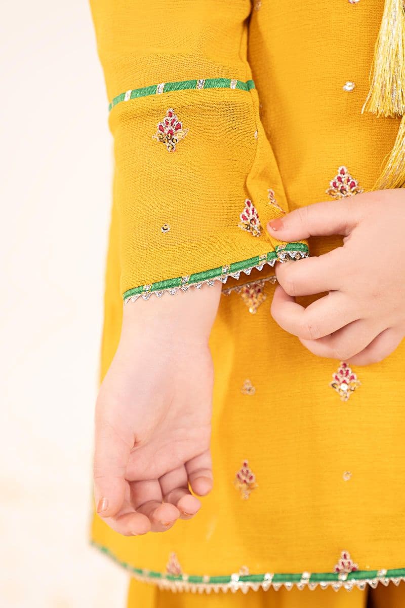 3 Piece Embroidered Cotton Net Suit thumbnail
