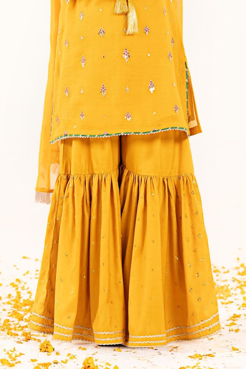 3 Piece Embroidered Cotton Net Suit thumbnail