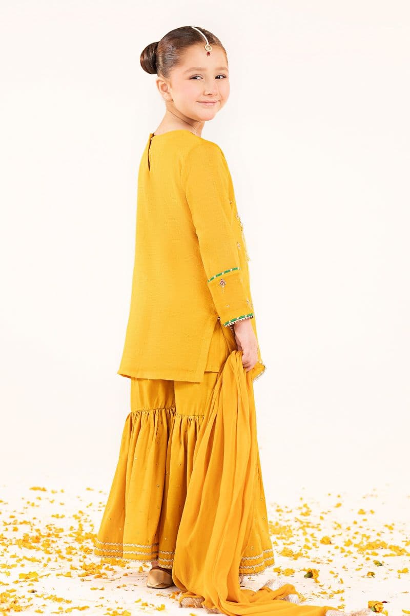 3 Piece Embroidered Cotton Net Suit thumbnail