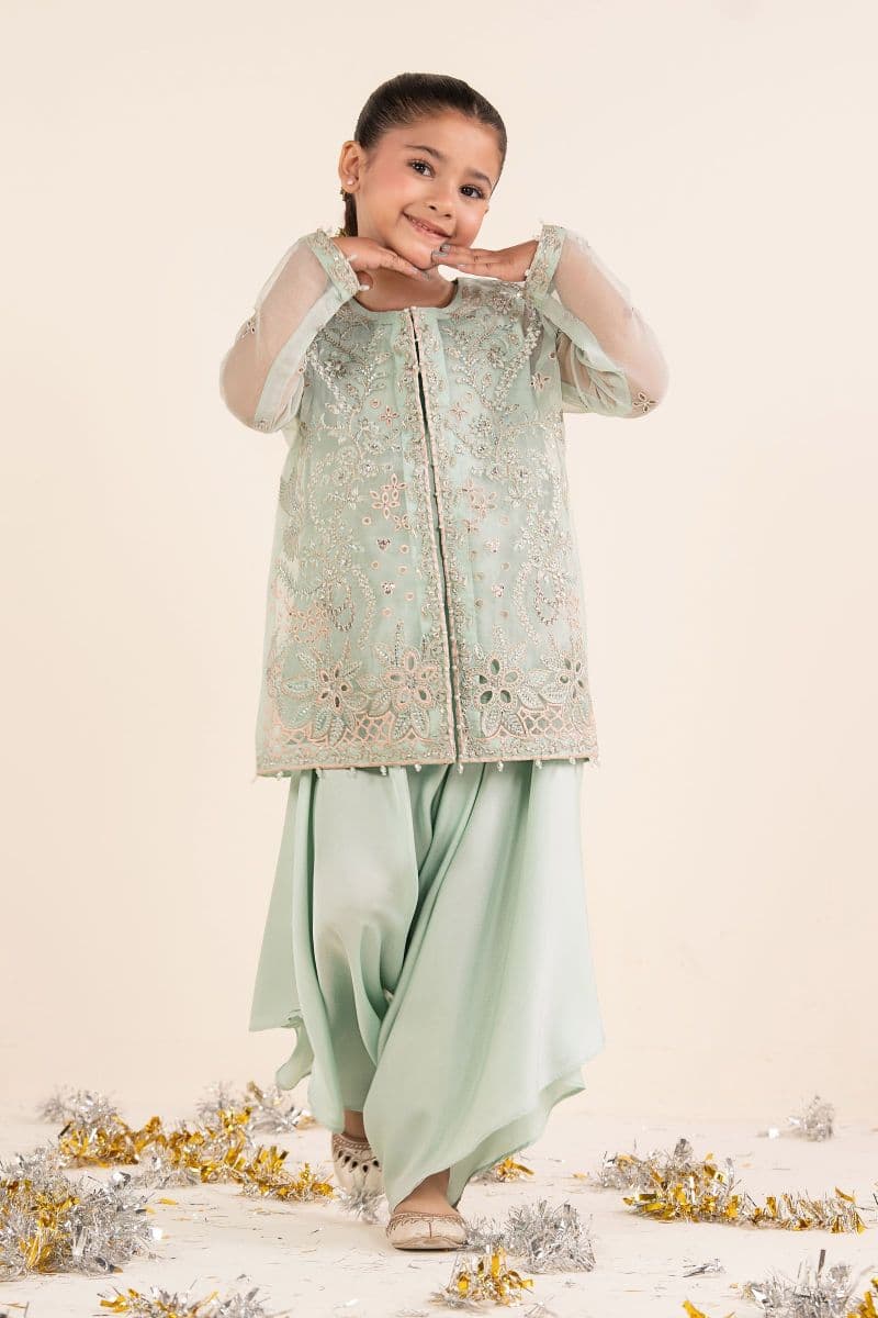 2 Piece Embroidered Organza Suit thumbnail