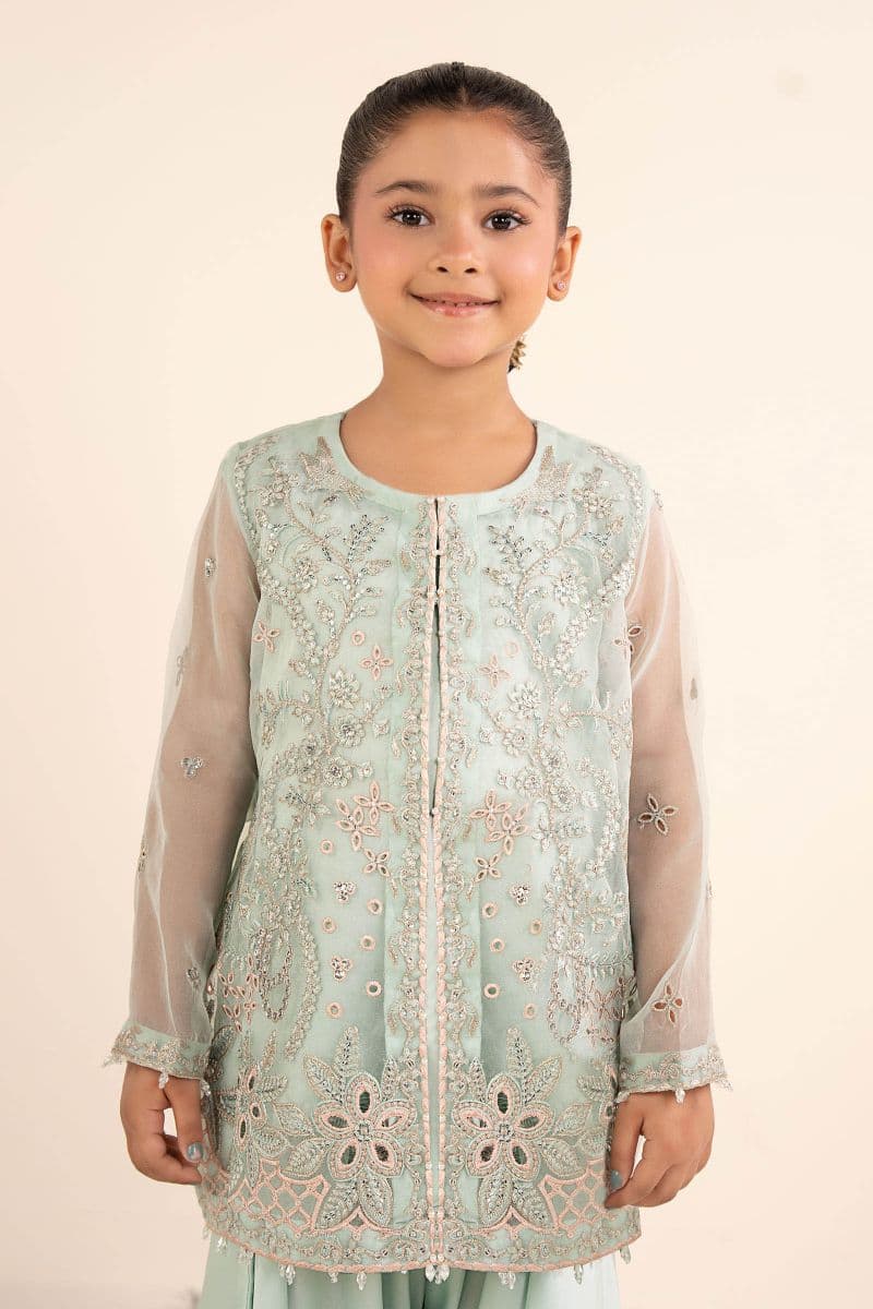 2 Piece Embroidered Organza Suit thumbnail
