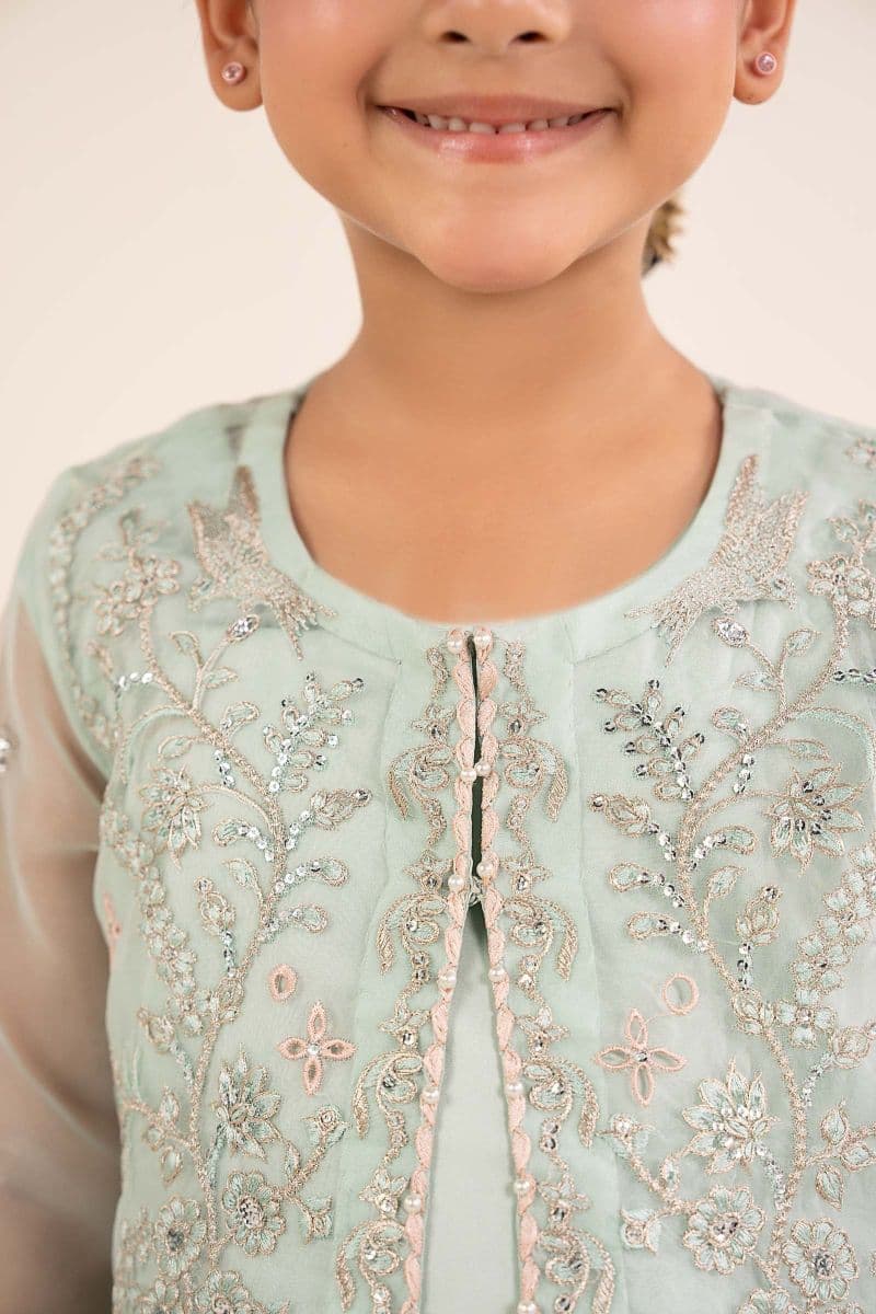 2 Piece Embroidered Organza Suit thumbnail