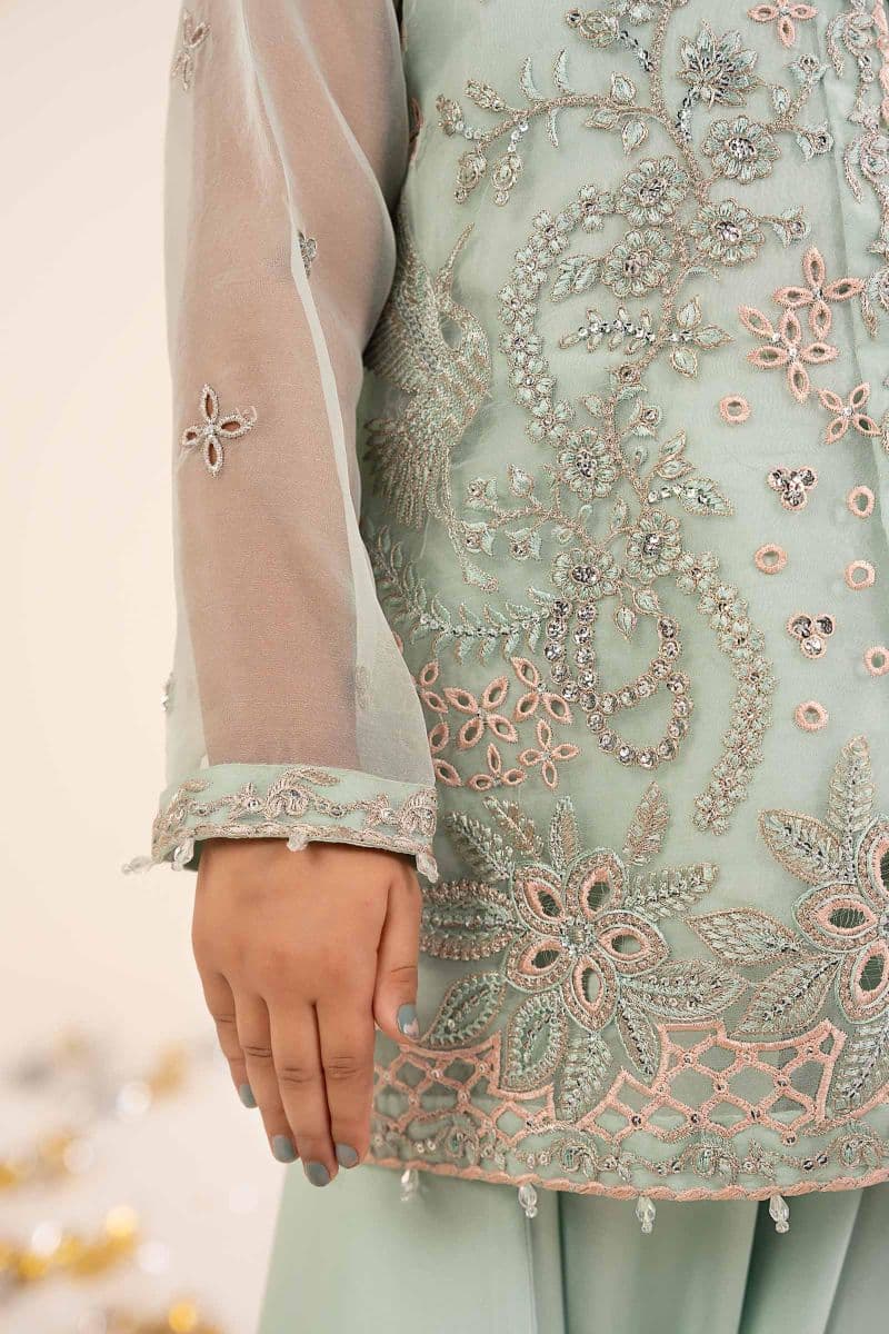 2 Piece Embroidered Organza Suit thumbnail