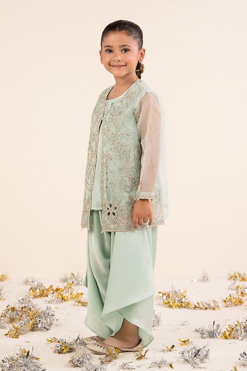 2 Piece Embroidered Organza Suit thumbnail