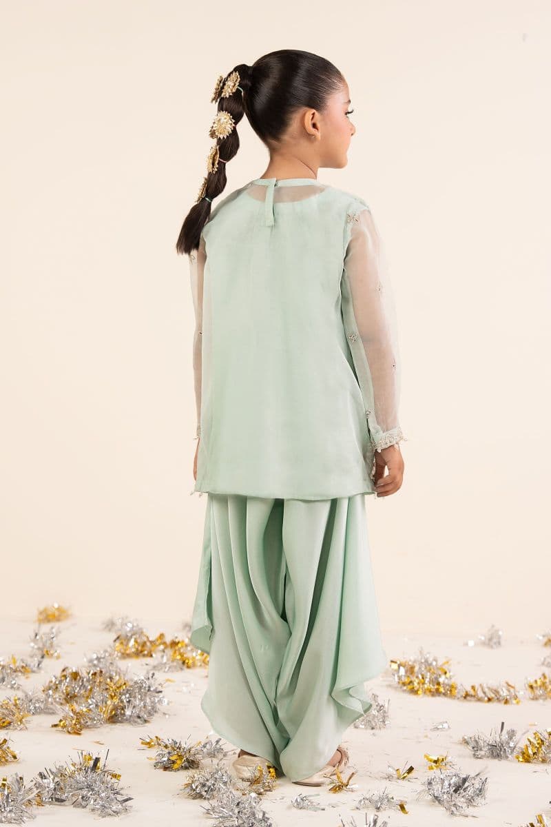 2 Piece Embroidered Organza Suit thumbnail