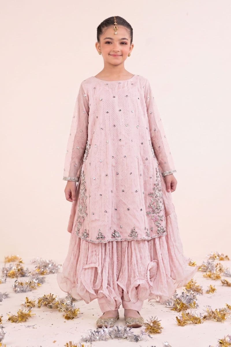 2 Piece Embroidered Organza Suit thumbnail