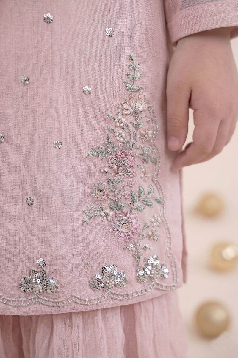 2 Piece Embroidered Organza Suit thumbnail