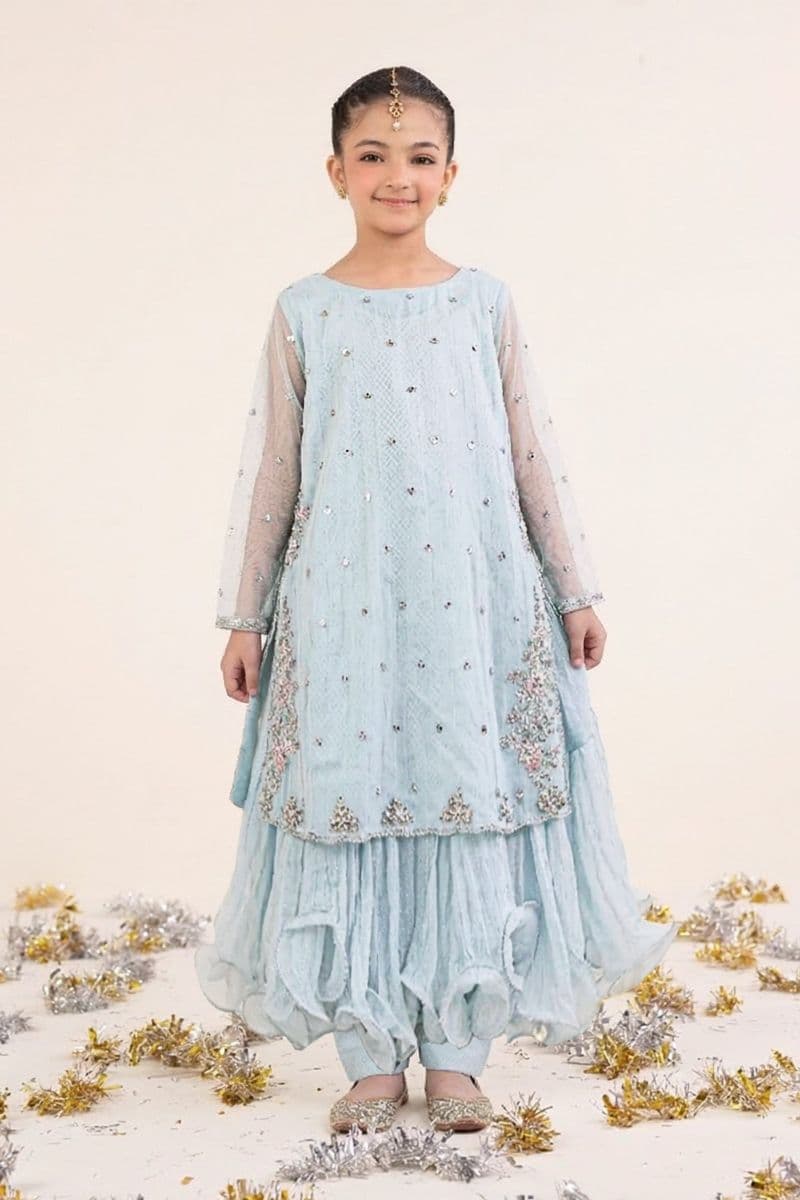 2 Piece Embroidered Organza Suit thumbnail