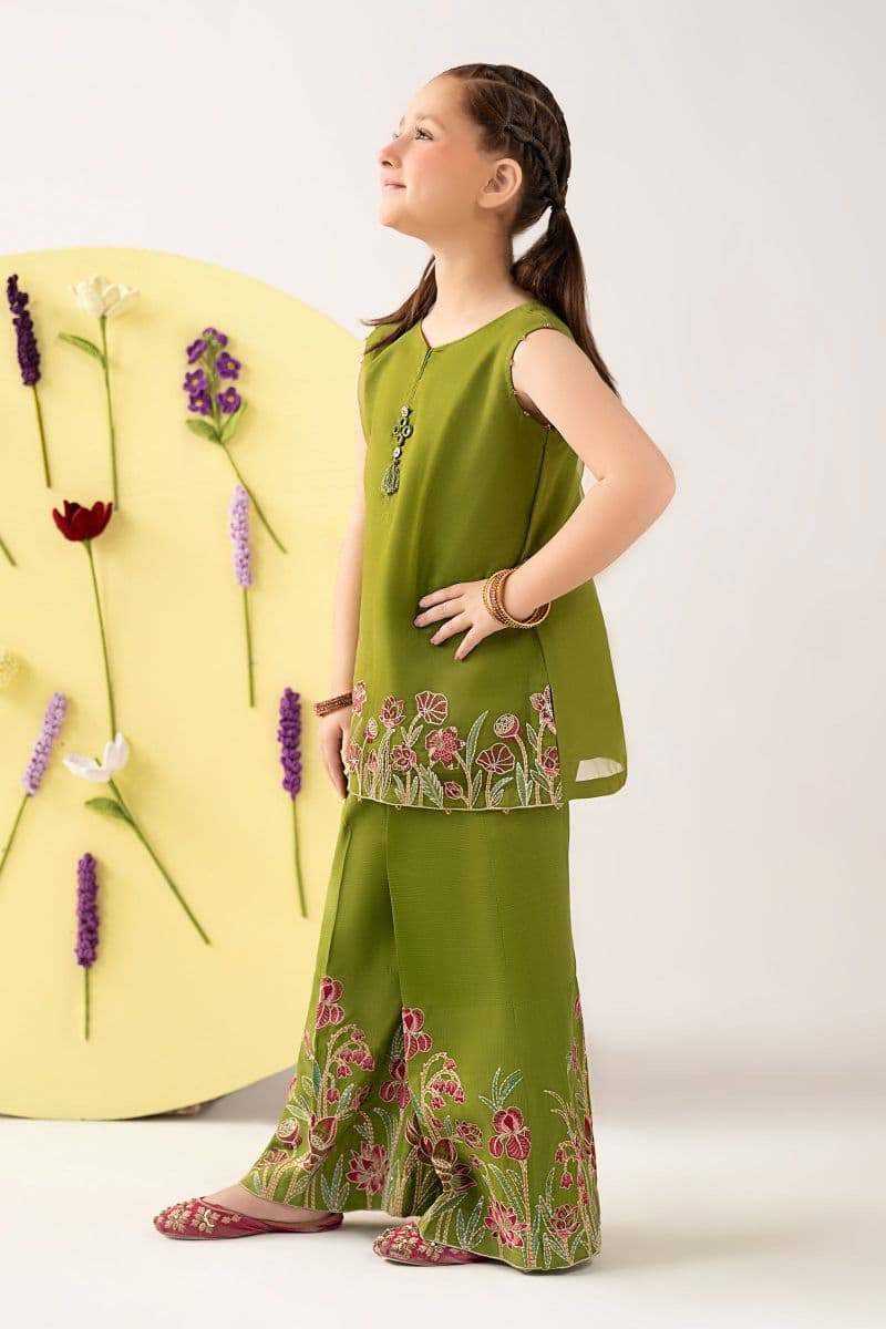 2 Piece Embroidered Organza Suit thumbnail