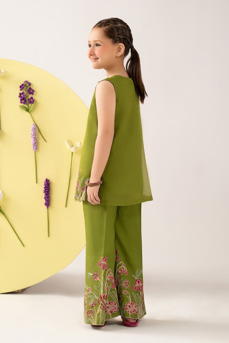 2 Piece Embroidered Organza Suit thumbnail