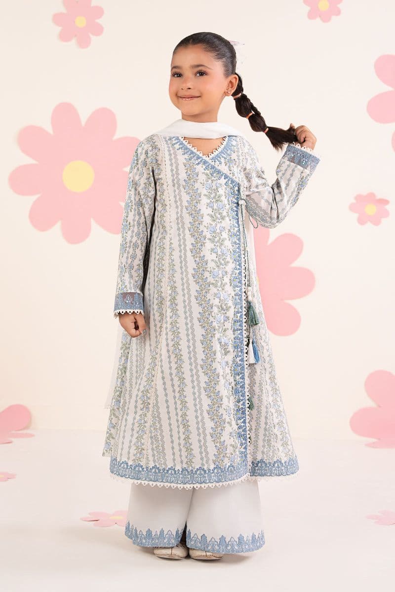 3 Piece Embroidered Lawn Suit thumbnail