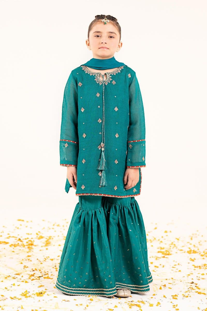 3 Piece Embroidered Cotton Net Suit thumbnail