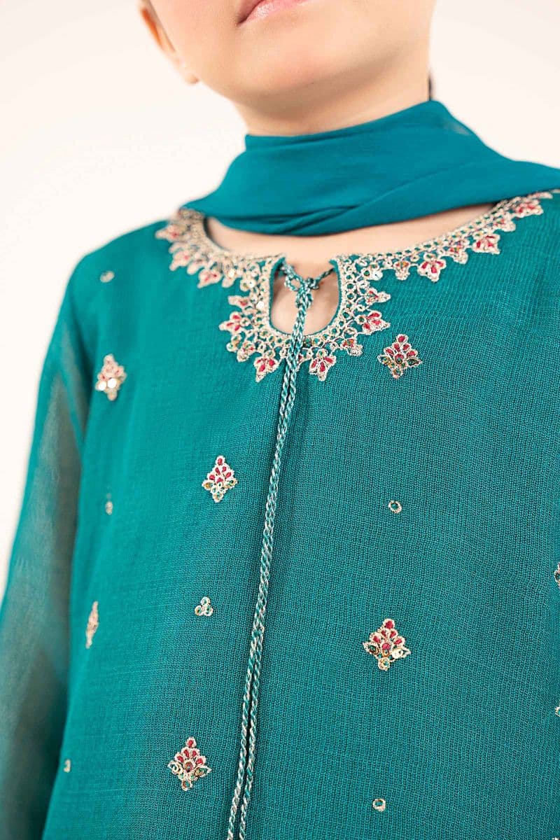 3 Piece Embroidered Cotton Net Suit thumbnail