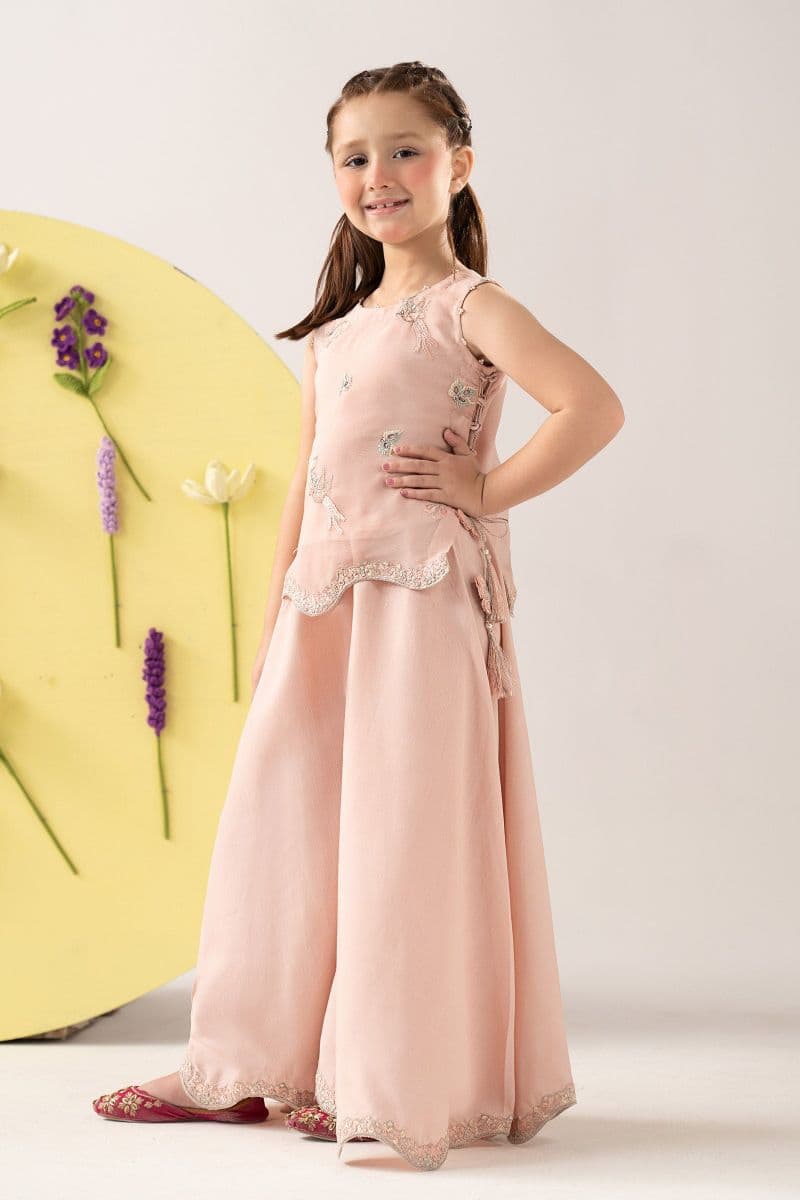 2 Piece Embroidered Chiffon Suit thumbnail