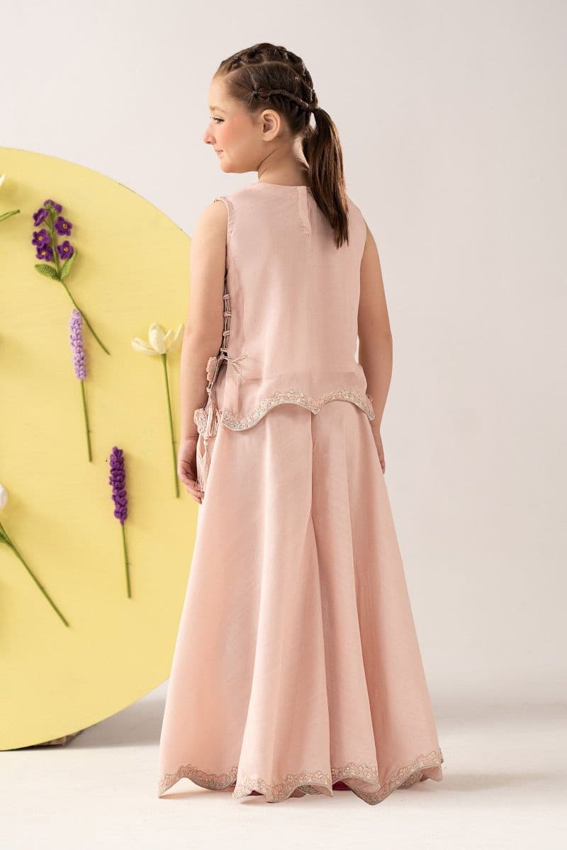 2 Piece Embroidered Chiffon Suit thumbnail