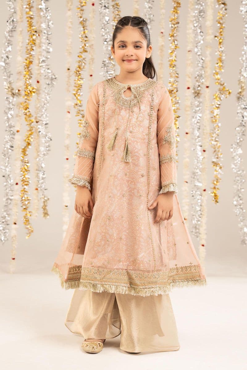 2 Piece Embroidered Organza Suit thumbnail