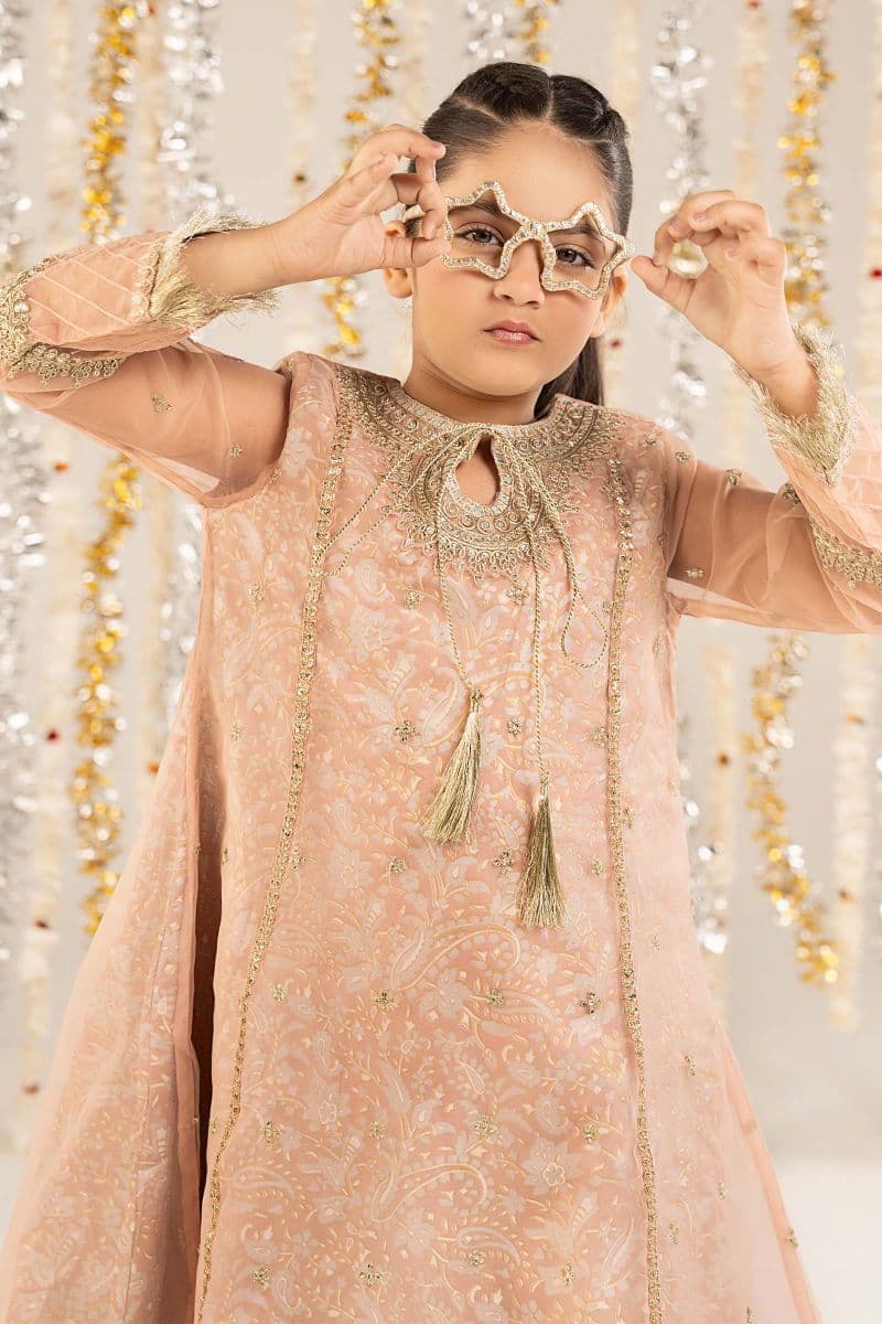 2 Piece Embroidered Organza Suit thumbnail