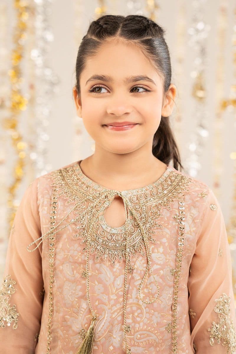 2 Piece Embroidered Organza Suit thumbnail