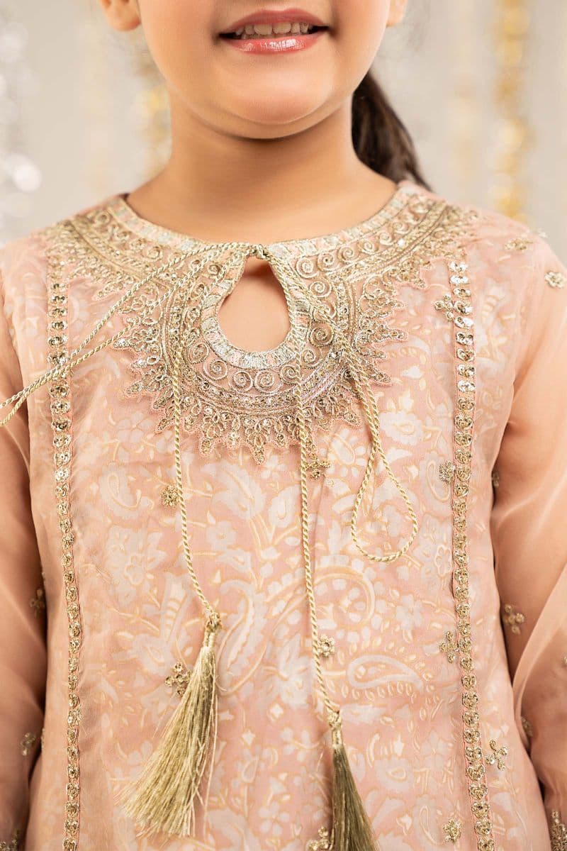 2 Piece Embroidered Organza Suit thumbnail