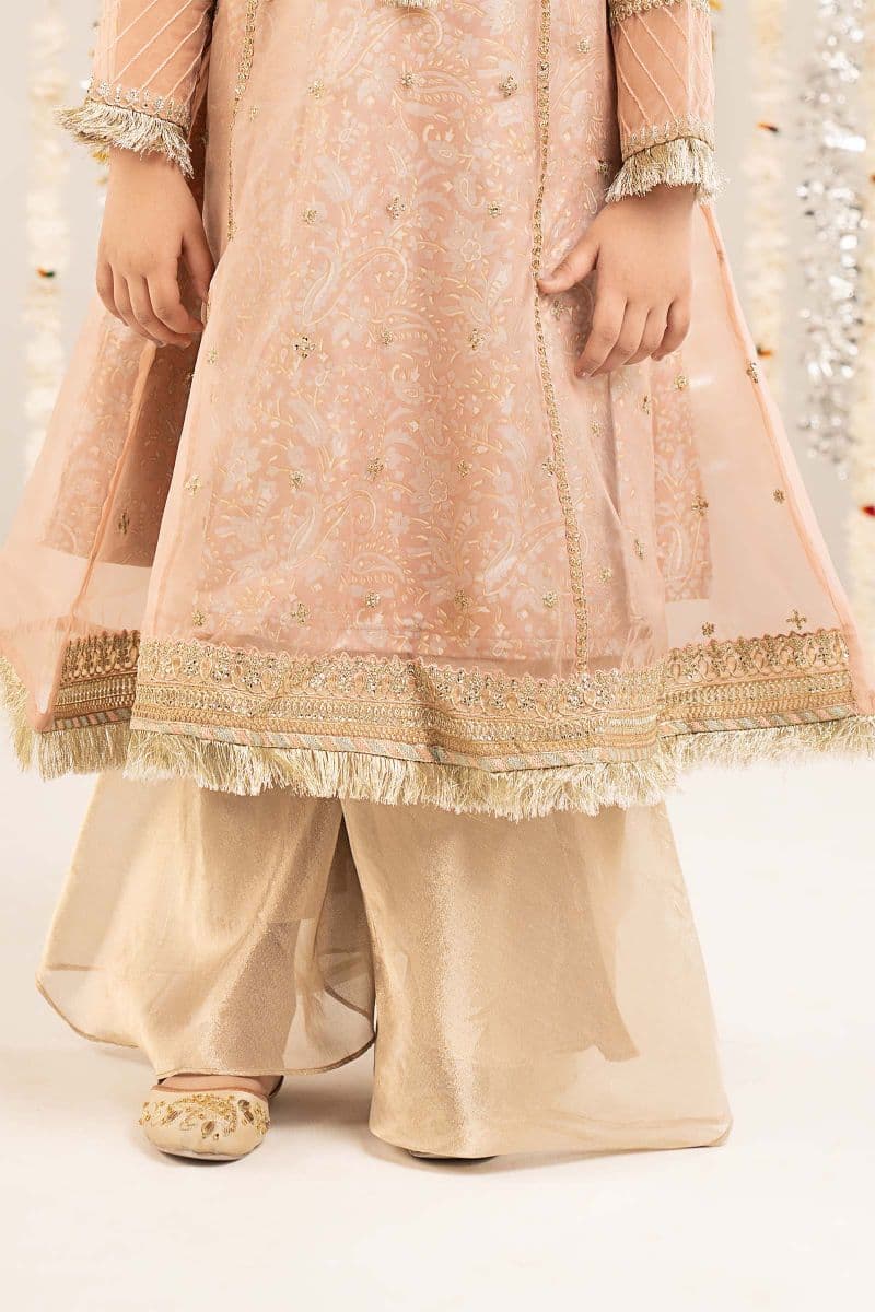 2 Piece Embroidered Organza Suit thumbnail