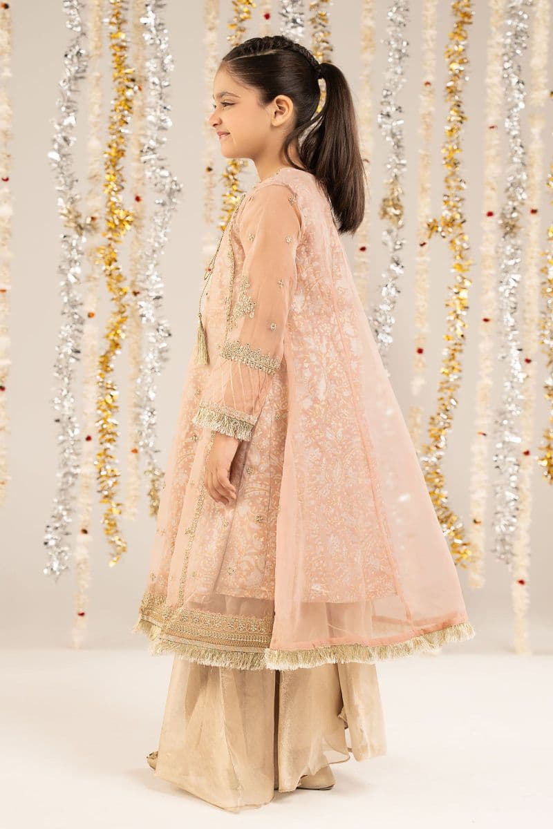 2 Piece Embroidered Organza Suit thumbnail