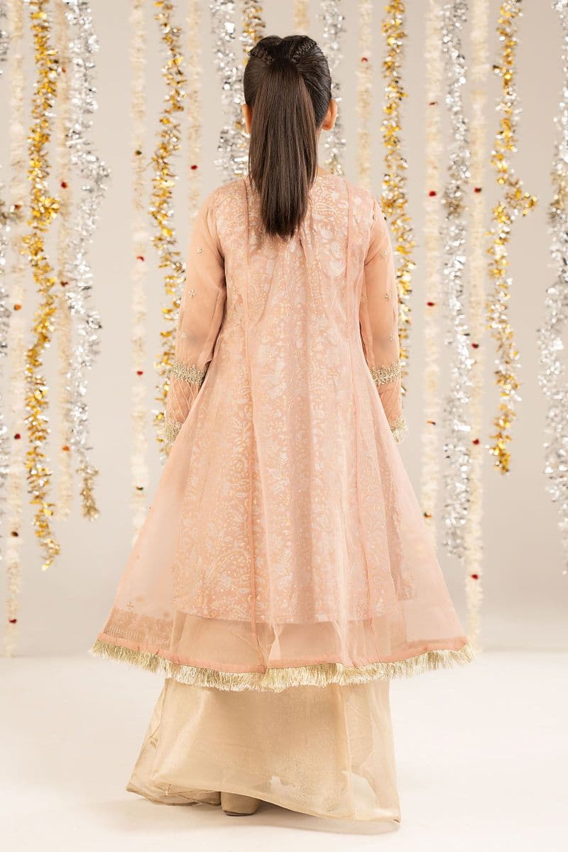 2 Piece Embroidered Organza Suit thumbnail