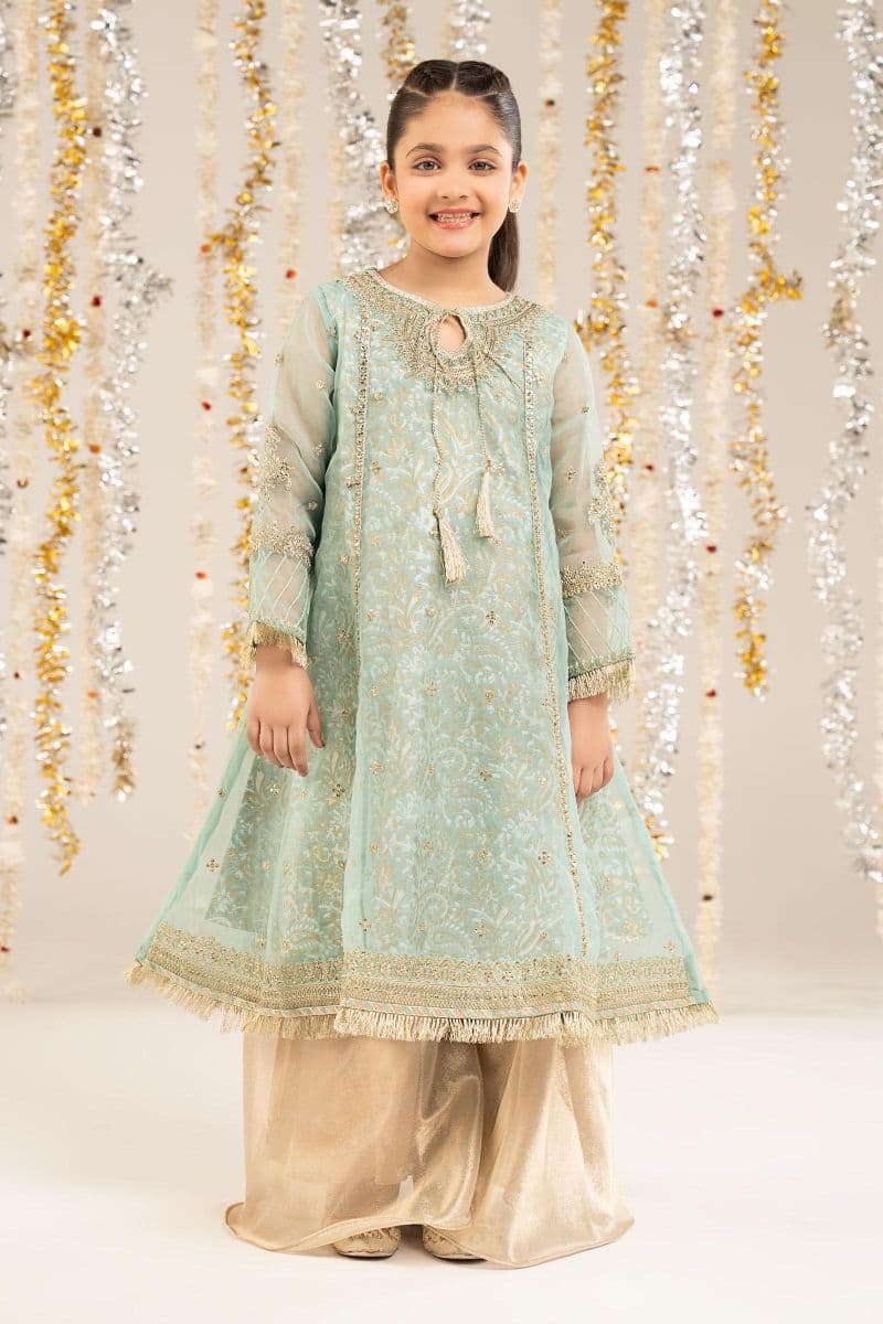 2 Piece Embroidered Organza Suit thumbnail
