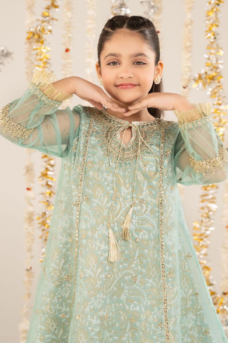 2 Piece Embroidered Organza Suit thumbnail