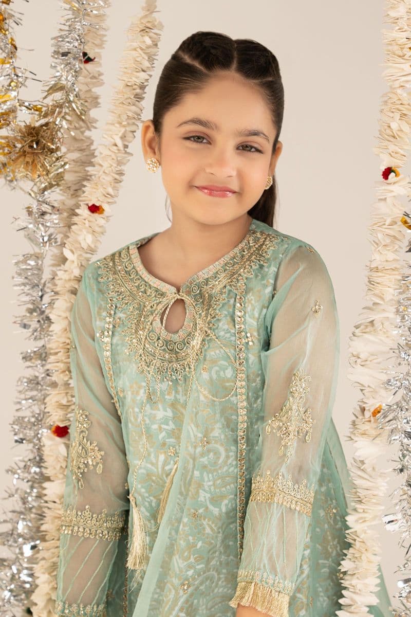 2 Piece Embroidered Organza Suit thumbnail
