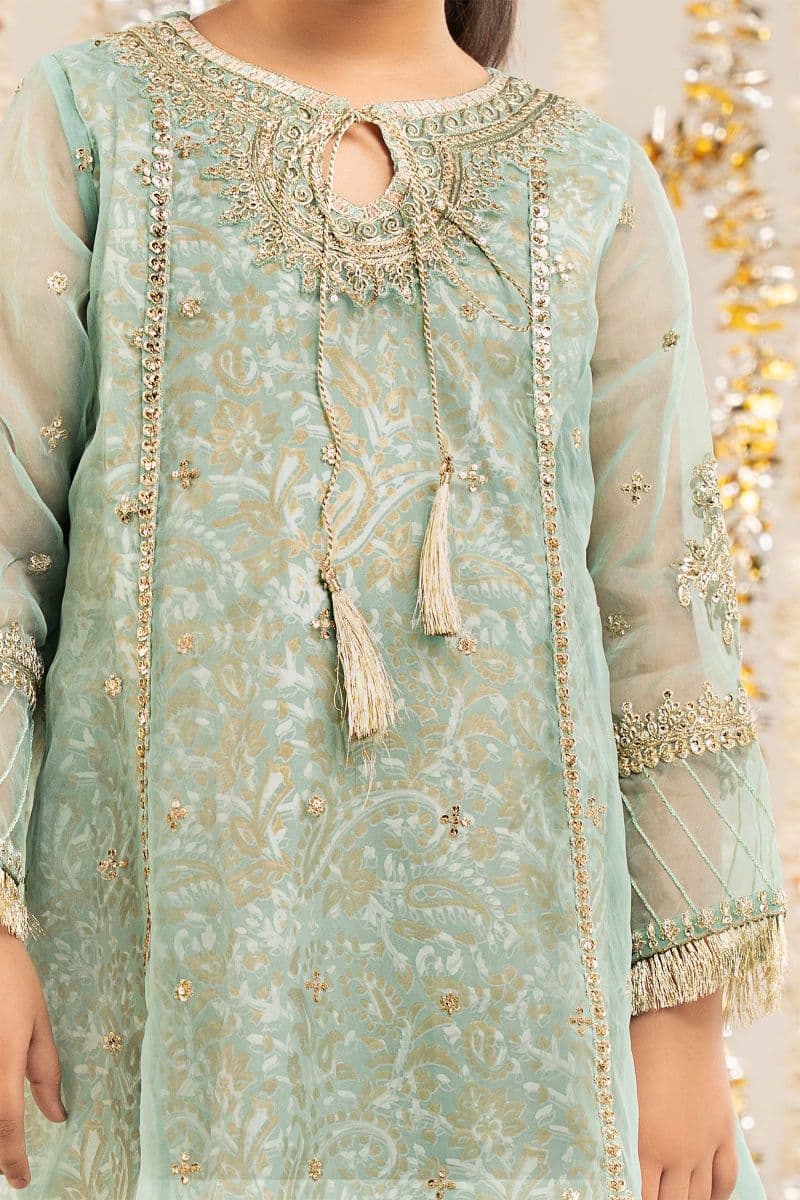 2 Piece Embroidered Organza Suit thumbnail