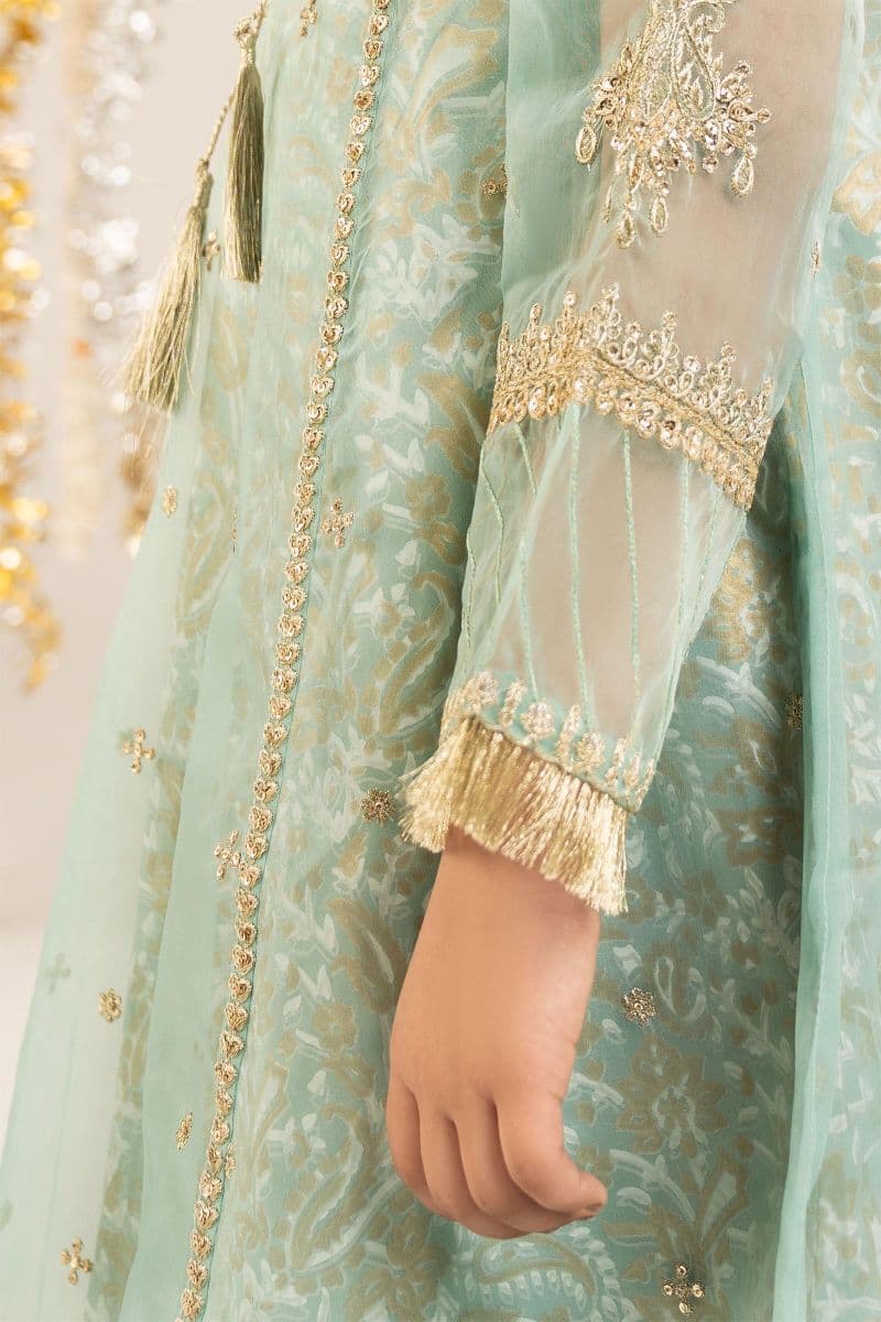 2 Piece Embroidered Organza Suit thumbnail