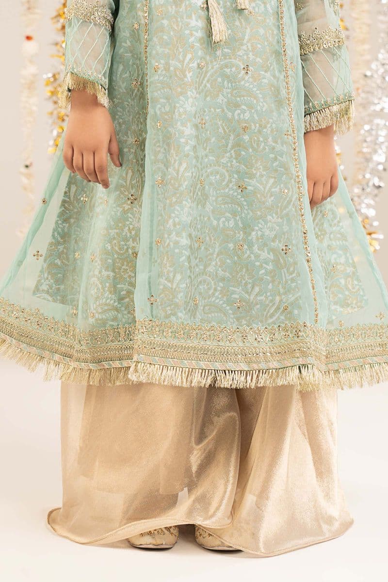 2 Piece Embroidered Organza Suit thumbnail