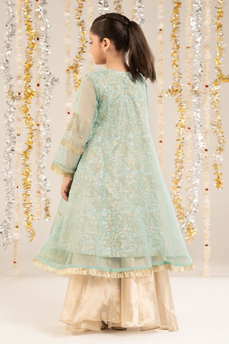 2 Piece Embroidered Organza Suit thumbnail