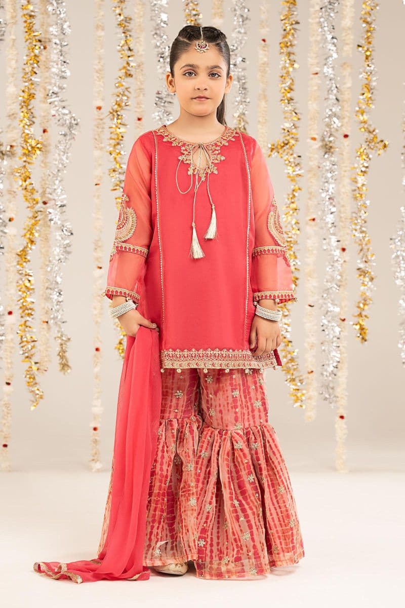 2 Piece Embroidered Organza Suit thumbnail
