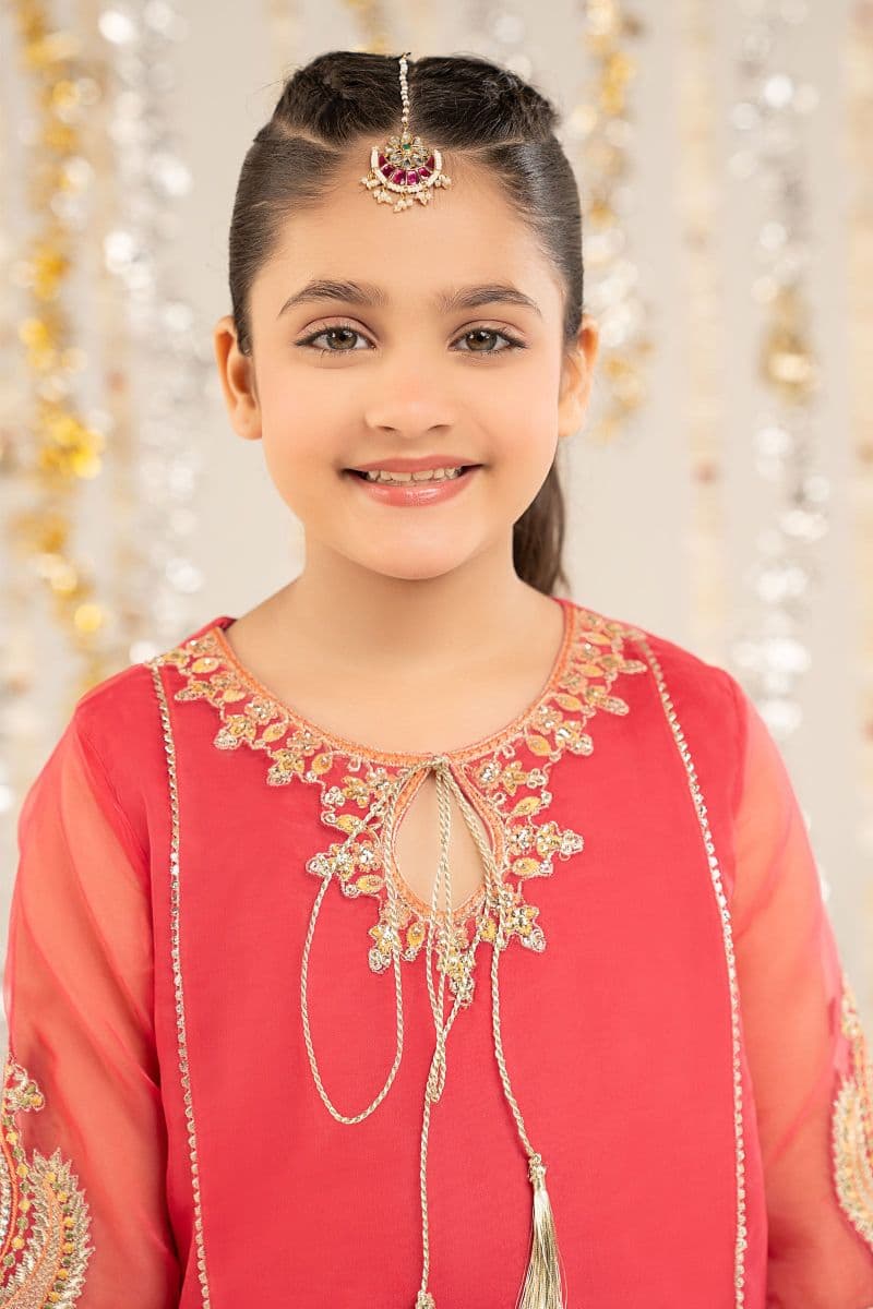 2 Piece Embroidered Organza Suit thumbnail