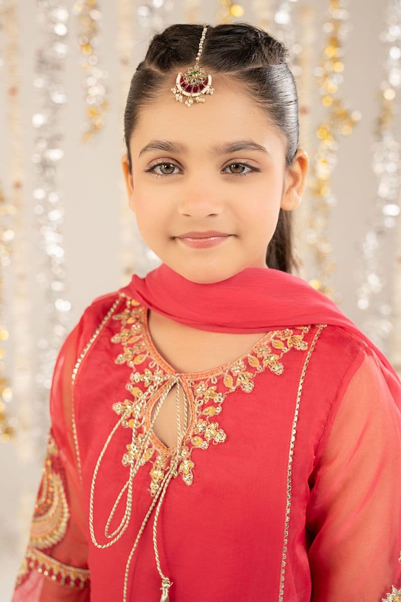2 Piece Embroidered Organza Suit thumbnail