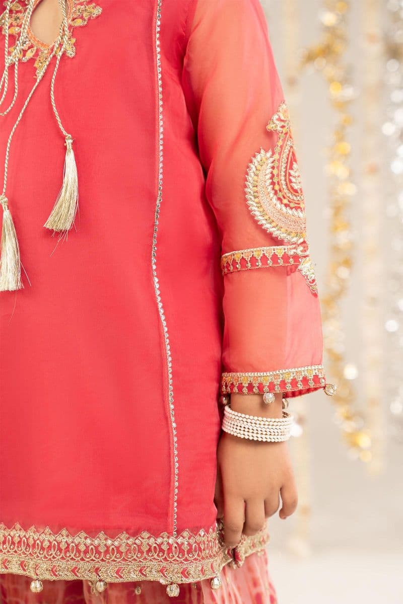 2 Piece Embroidered Organza Suit thumbnail