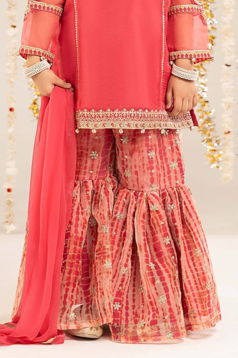 2 Piece Embroidered Organza Suit thumbnail