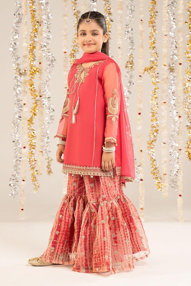 2 Piece Embroidered Organza Suit thumbnail